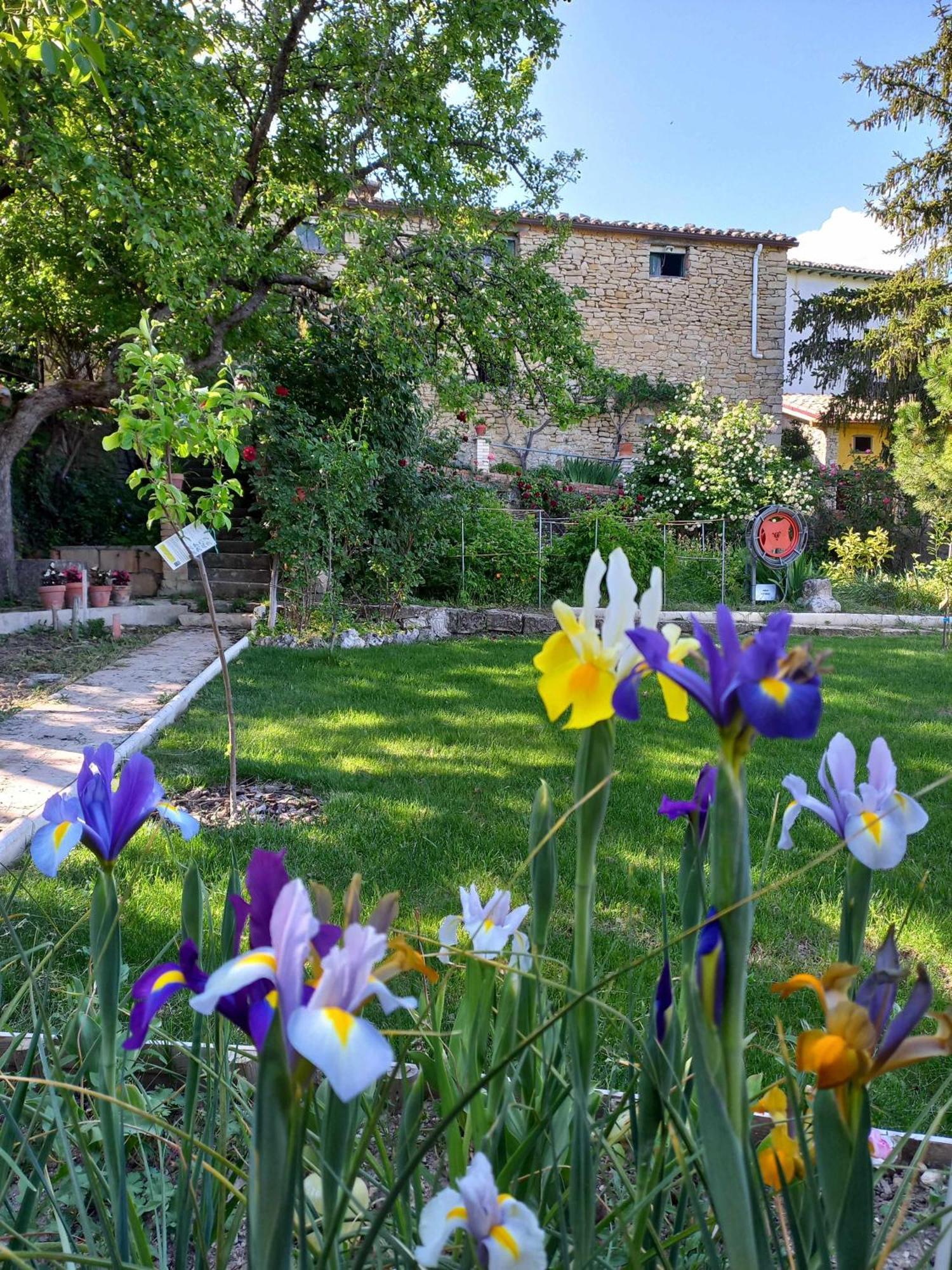 Casa Albaitar Con Piscina Y Sala De Juegos Azcona 외부 사진
